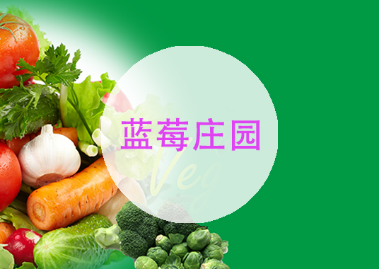 微企秀案例——藍莓莊園